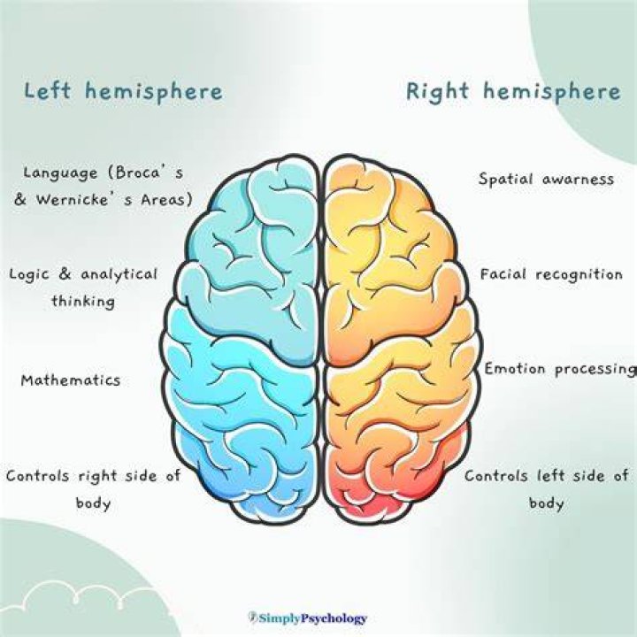 Left Brain as seen in 2016