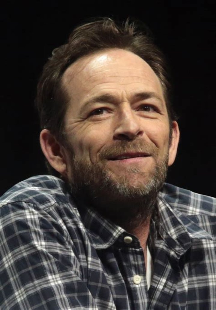 Luke Perry speaking at the 2017 WonderCon