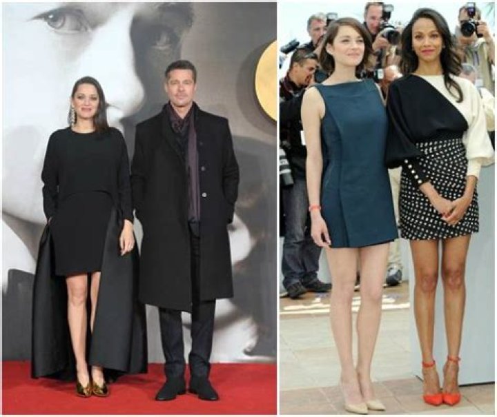 Marion Cotillard height is 5 ft 6.5 inch or 169 cm.