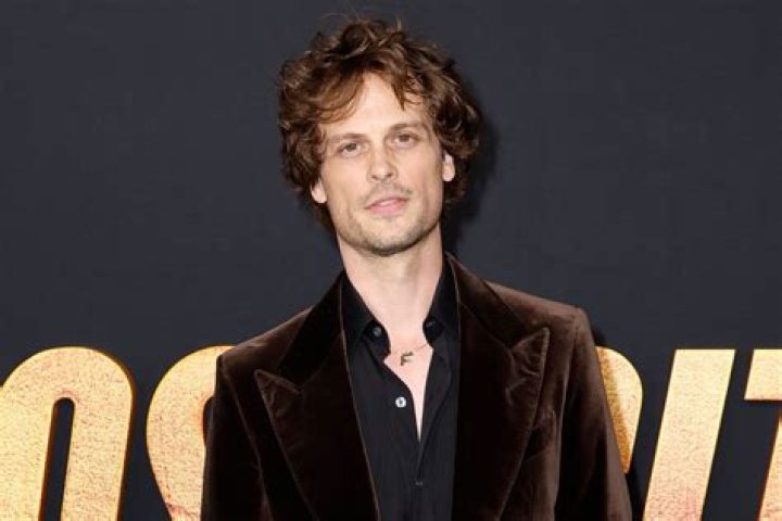 Matthew Gray Gubler at the CBS, CW, Showtime Summer TCA Party in August 2016