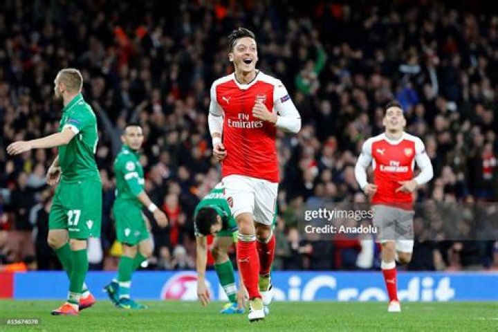 Mesut &Ouml;zil celebrates after scoring a goal in thumping 4-1 home victory against Norwich in 2013