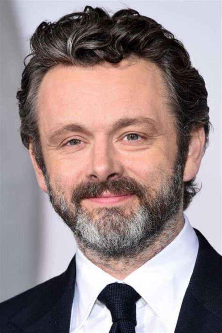 Michael Sheen during an event in November 2017