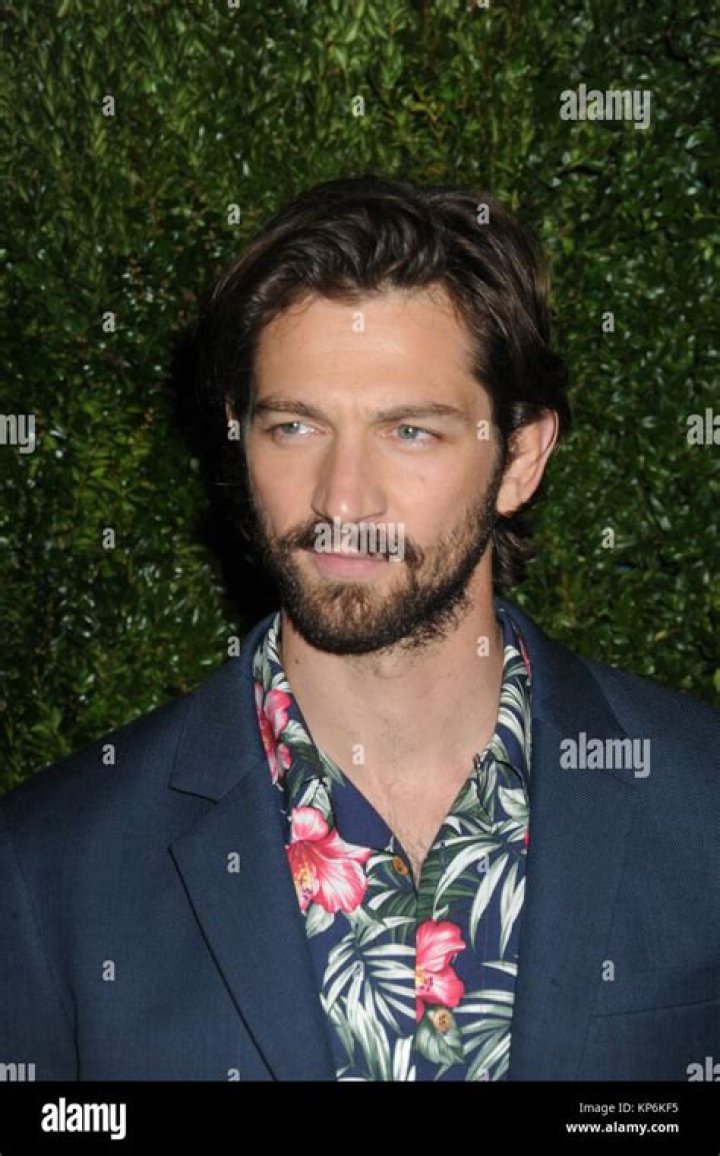 Michiel Huisman at the 2015 premiere of Game of Thrones in San Francisco