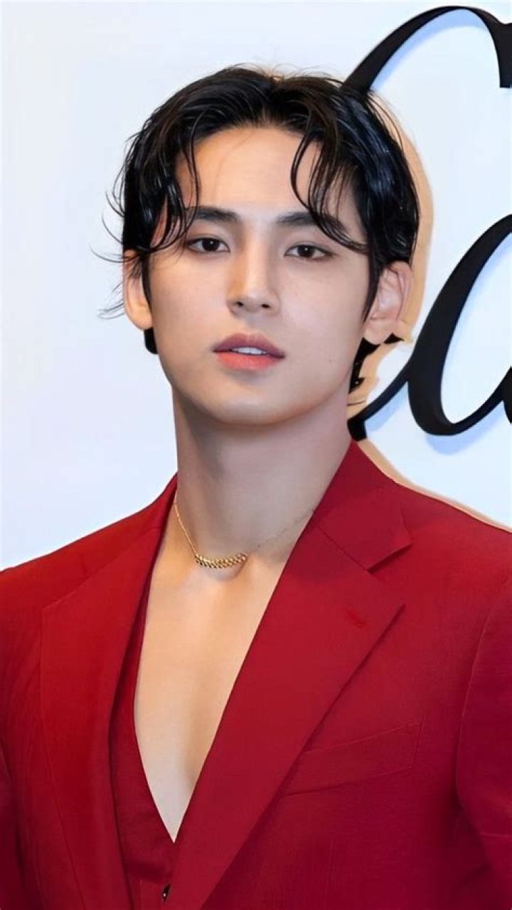Mingyu seen on the red carpet of the Asia Artist Awards in November 2018