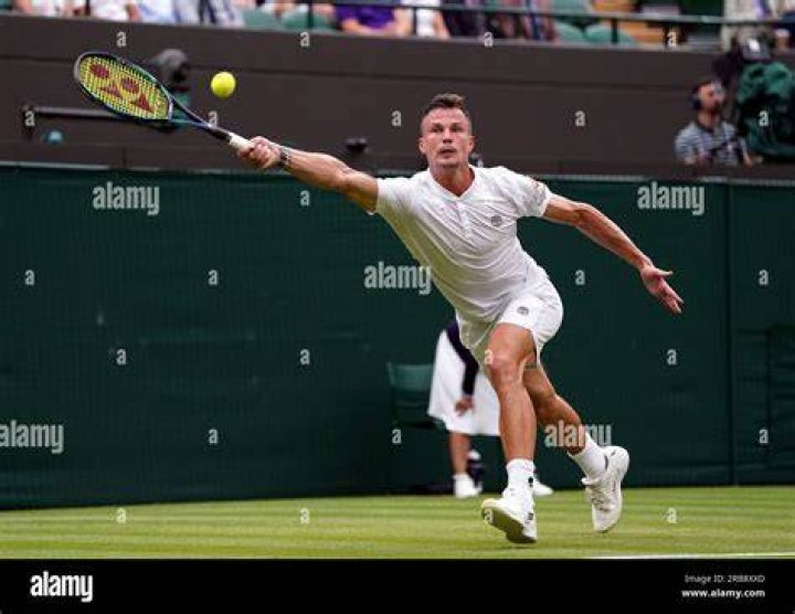 Márton Fucsovics pictured at the 2019 Wimbledon Championships
