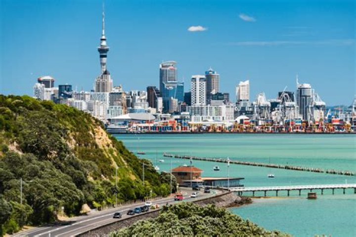 New Zealander