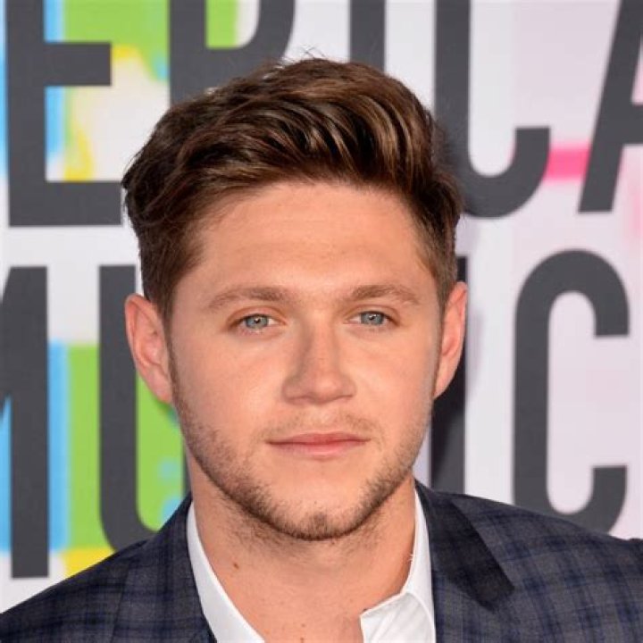 Niall Horan hair quiff