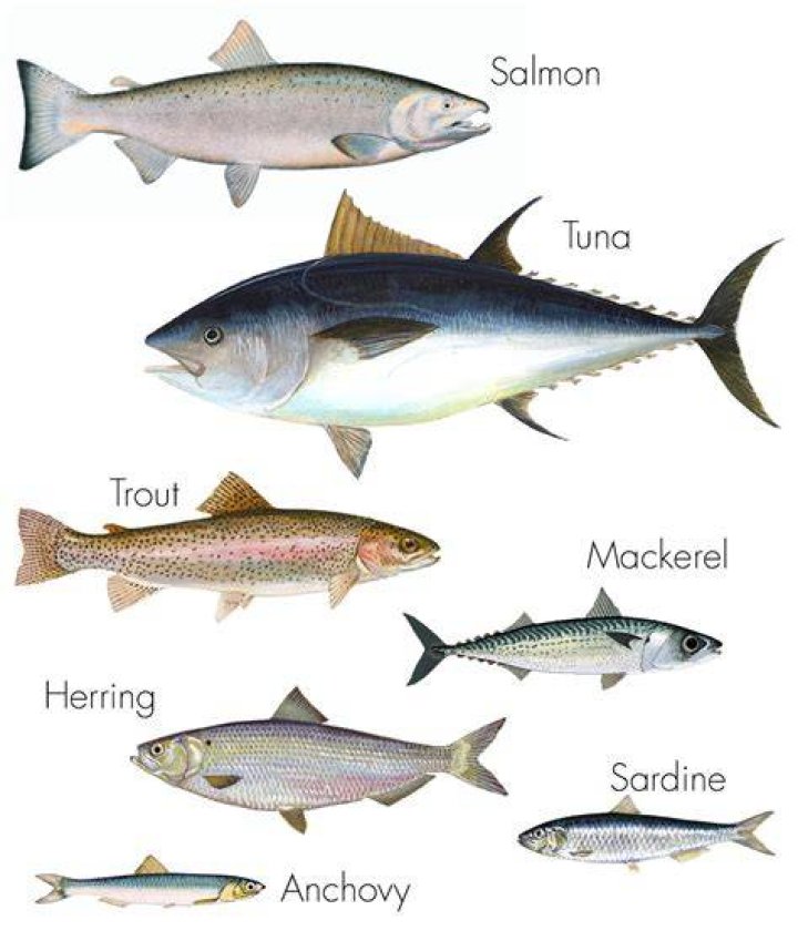 Oily Fish