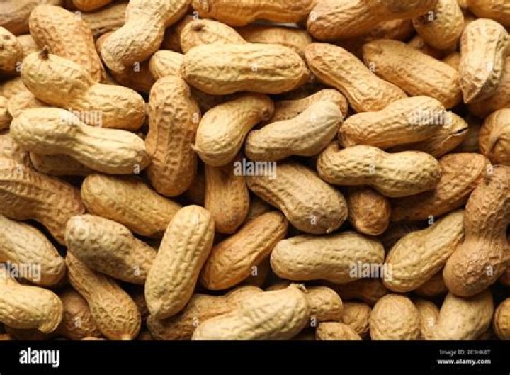 Peanut