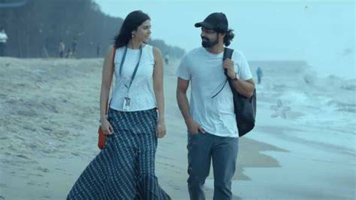 Pranav Mohanlal and Kalyani Priyadarshan in an Instagram selfie