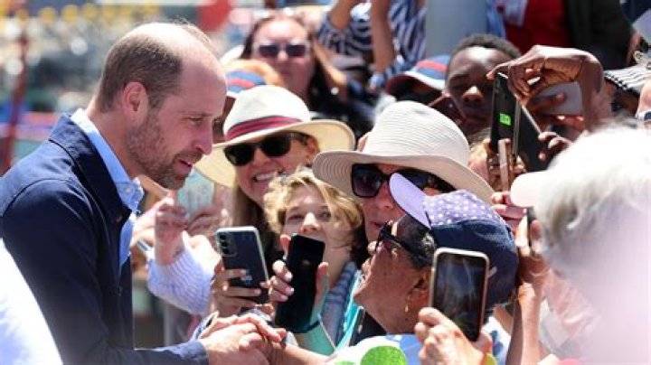 Prince William greets public and press in London in 2015