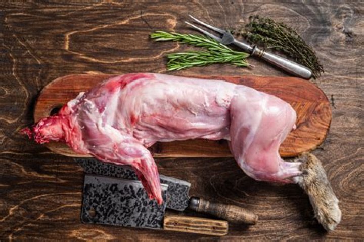 Rabbit Meat
