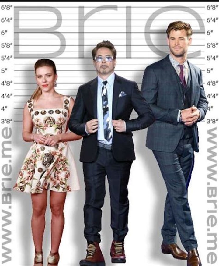 robert downey jr height