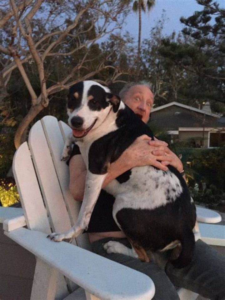 Robert Englund with his dog as seen in April 2017