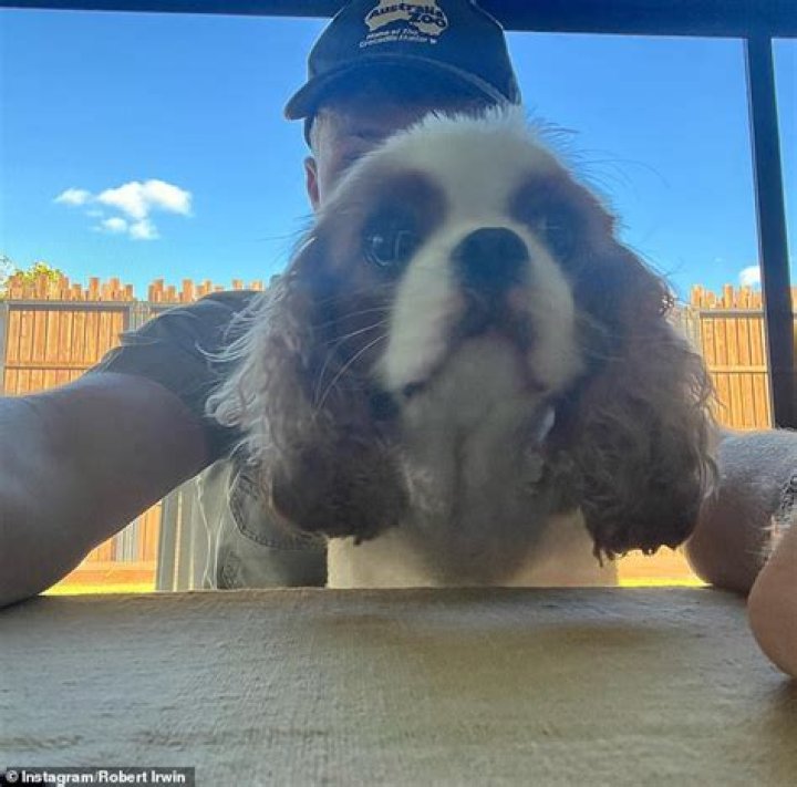 Robert Irwin with Stella The Pug dog in 2018