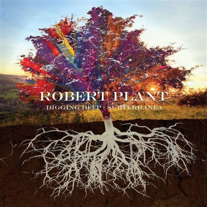 Robert Plant in February 2020 announcing the date for his live recording for the upcoming season of the Digging Deep podcast