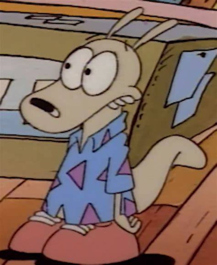 Rocko as seen in October 2019
