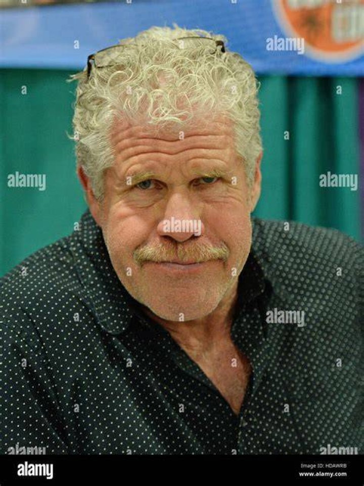 Ron Perlman at Paradise City Comic Con in December 2016