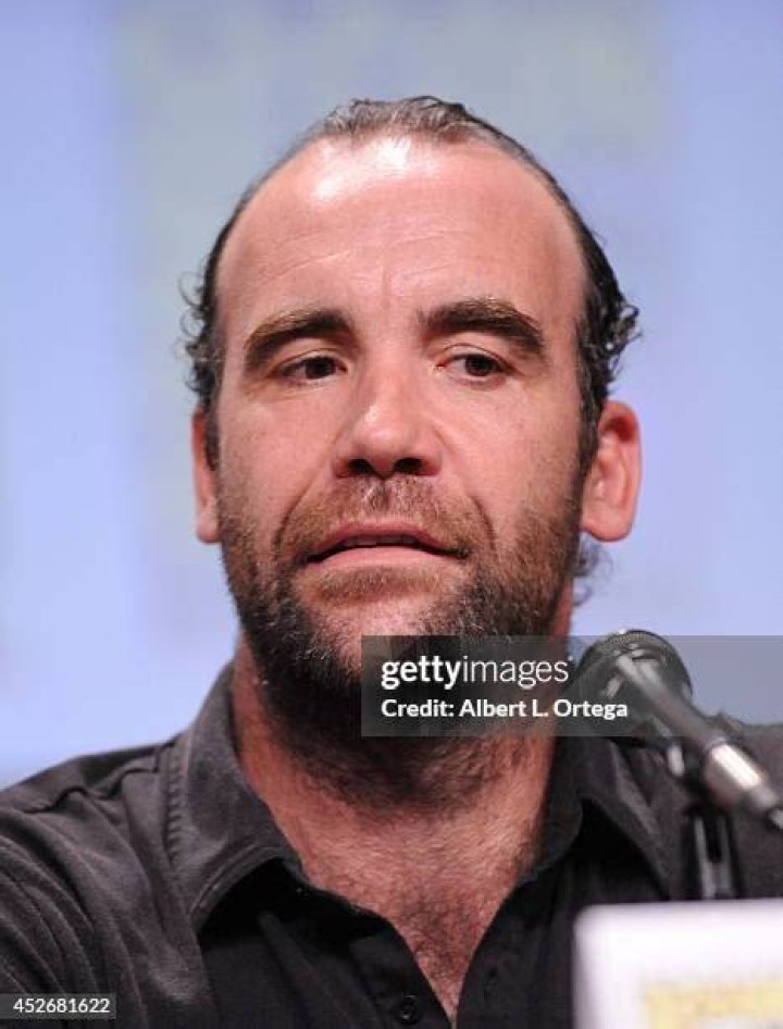 Rory McCann during the San Diego Comic-Con International for 'Game of Thrones' in 2014