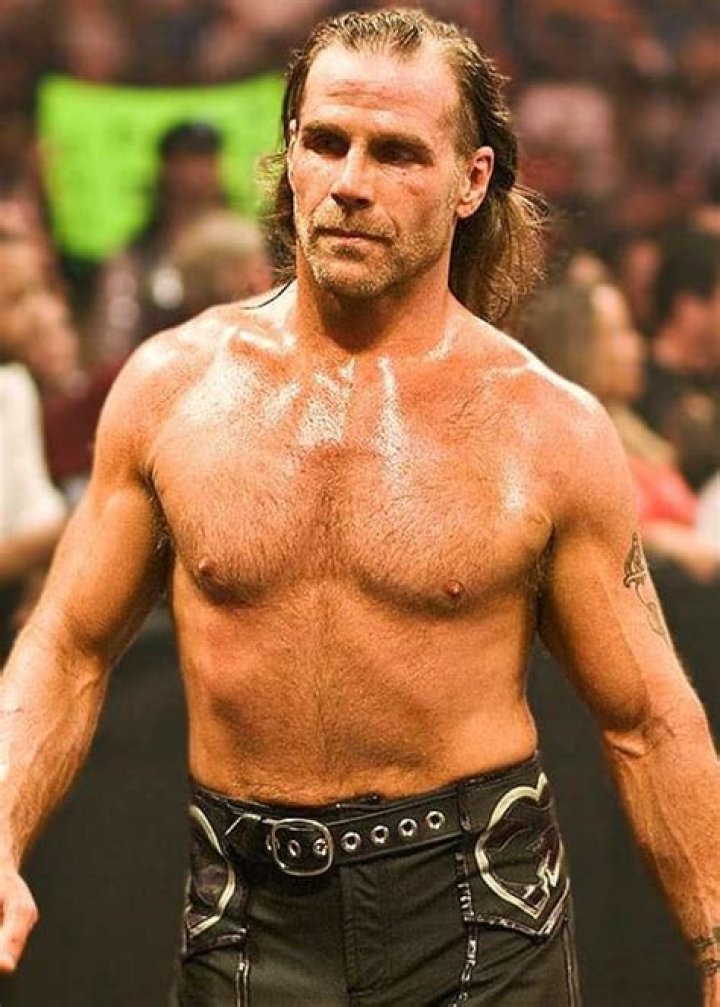 Shawn Michaels during WWE Raw match in November 2008
