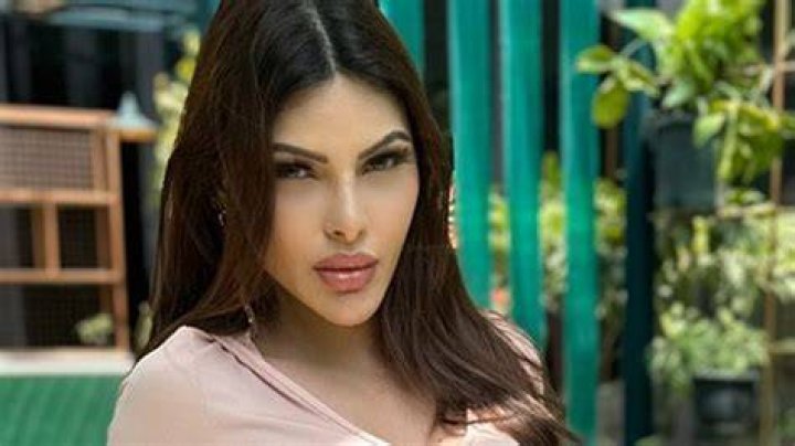 Sherlyn Chopra in a candid picture from 2020 (1)