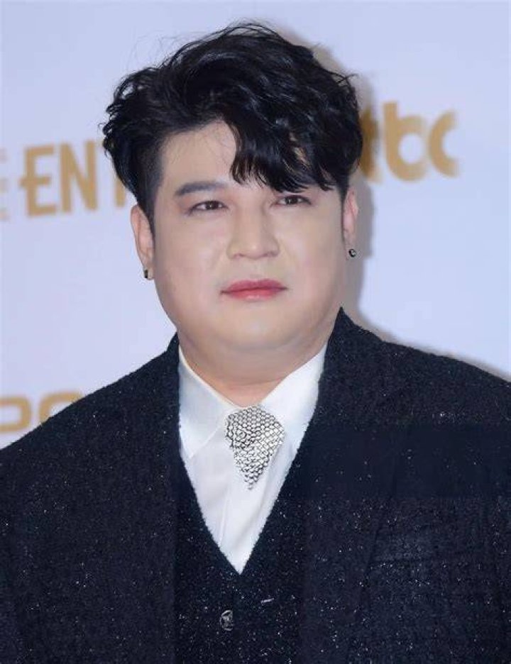 Shindong as seen at the 2017 Snowball concert