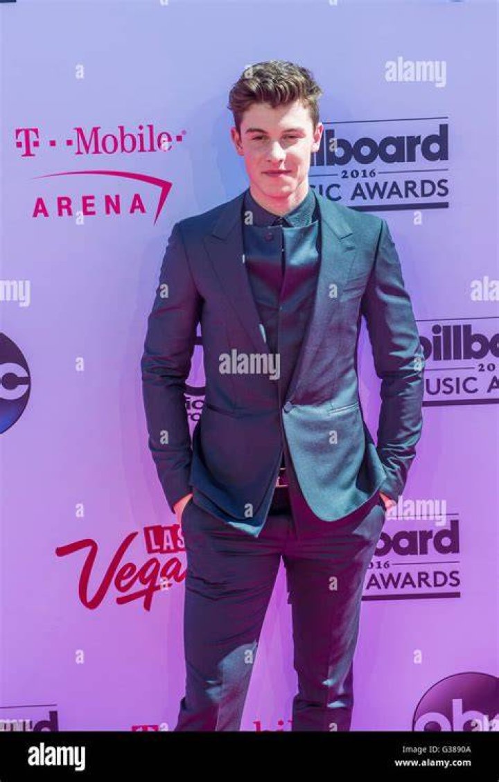 Singer Shawn Mendes attends the 2015 iHeartRadio Music Awards which broadcasted live on NBC from The Shrine Auditorium on March 29, 2015 in Los Angeles, California
