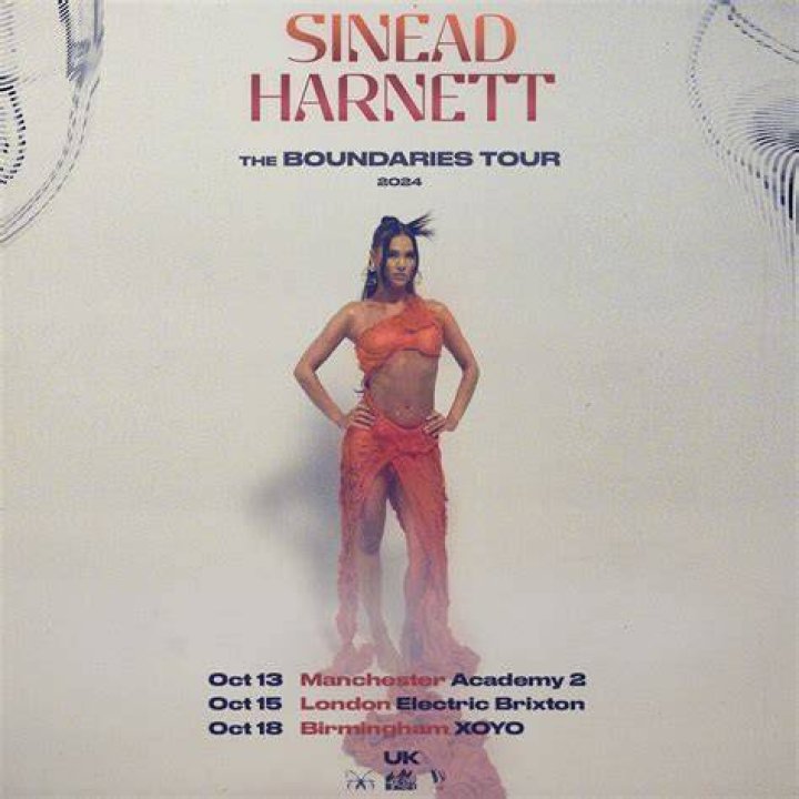 Sin&eacute;ad Harnett as seen in July 2018