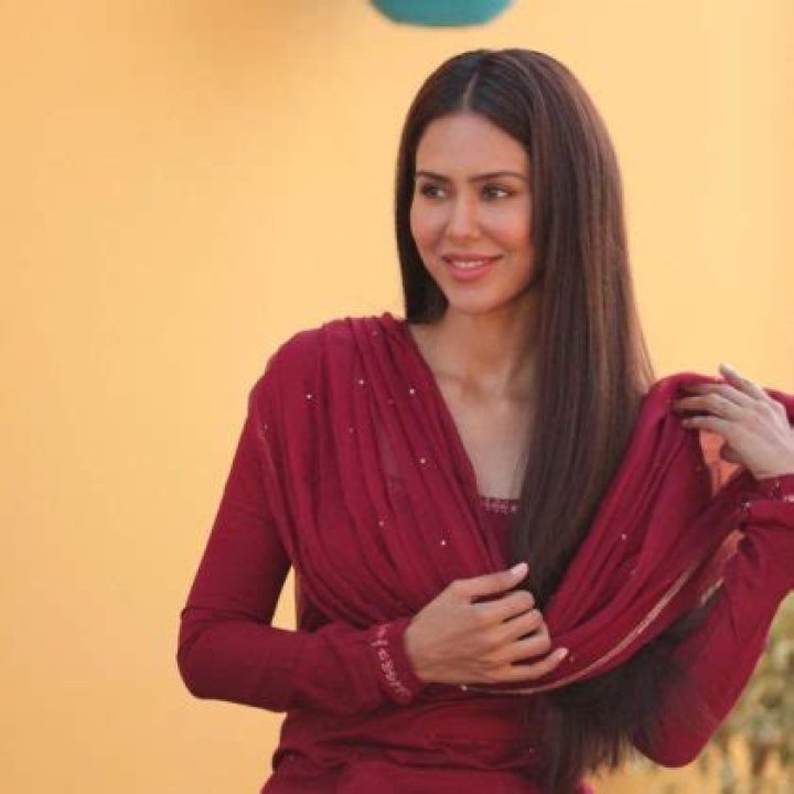 Sonam Bajwa wearing an indian attire in 2020
