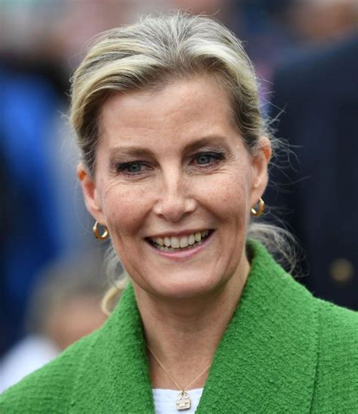 Sophie, Countess of Wessex and Prince Edward, Earl of Wessex pictured while Trooping the Colour in June 2013