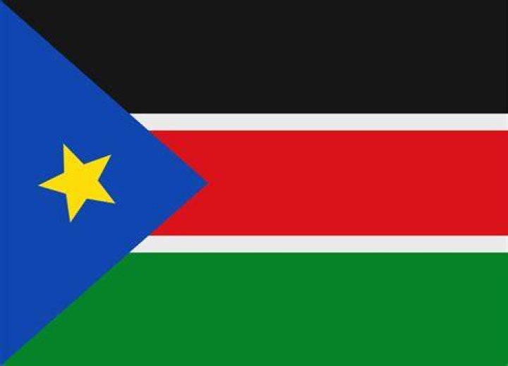South Sudanese flag