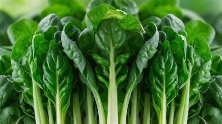 Spinach