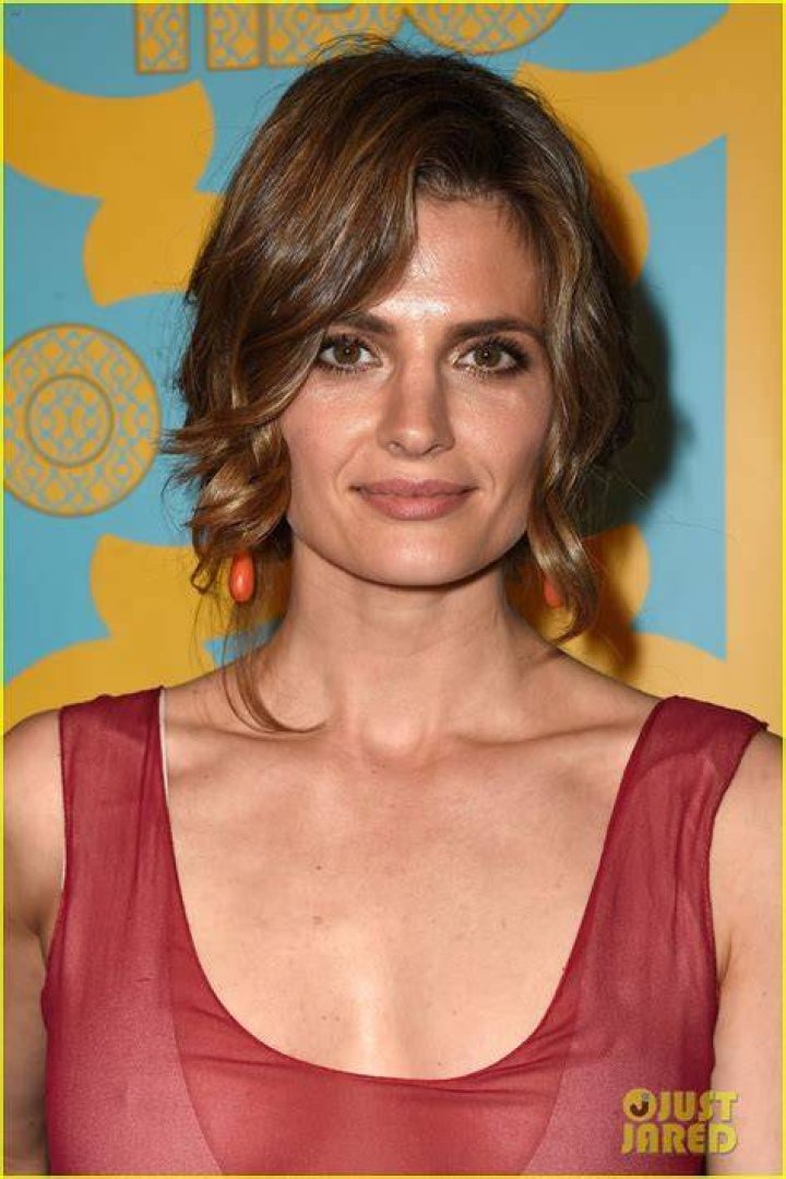 Stana Katic at HBO's Post 2015 Golden Globe Awards Party