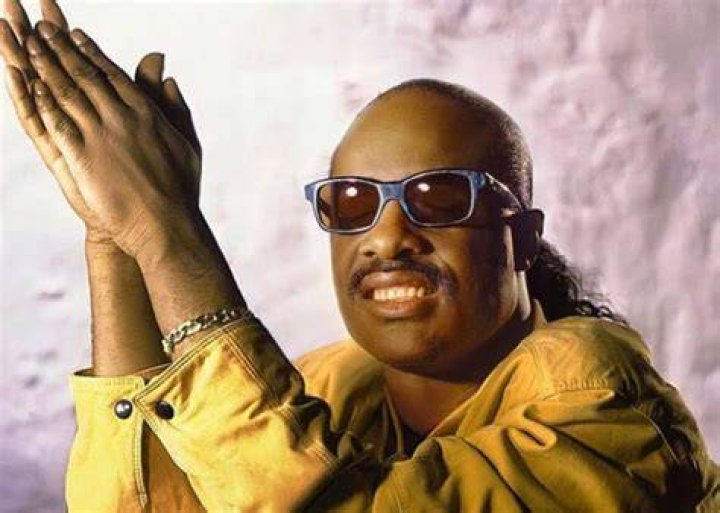 Stevie Wonder as seen in 1973