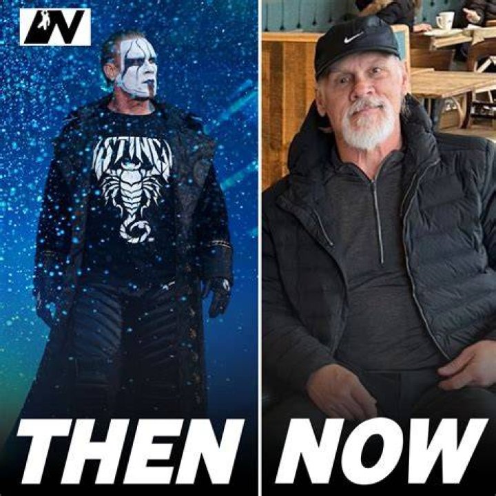Sting as seen in a picture taken in 2006