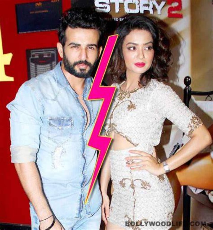 Surveen Chawla and Jay Bhanushali during the promotion of Hate Story 2 in 2015