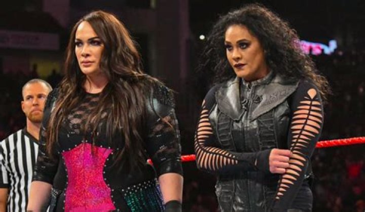 Tamina Snuka in the ring at a WWE live event in Li&egrave;ge on May 22, 2014