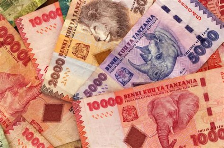 Tanzanian Tanzanian