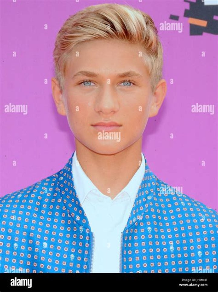 Thomas Kuc at the Nickelodeon's Not So Valentine's Special event in February 2017