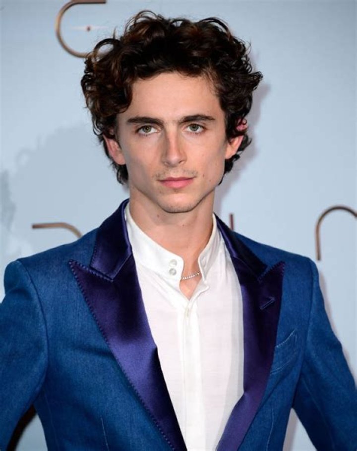 Timothée Chalamet at the 2017 Berlin International Film Festival