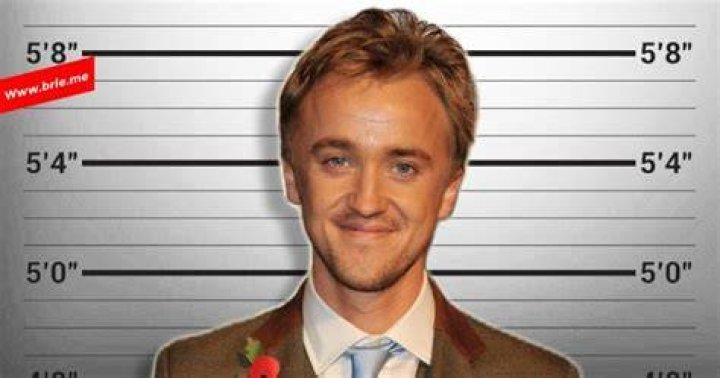 Tom Felton height