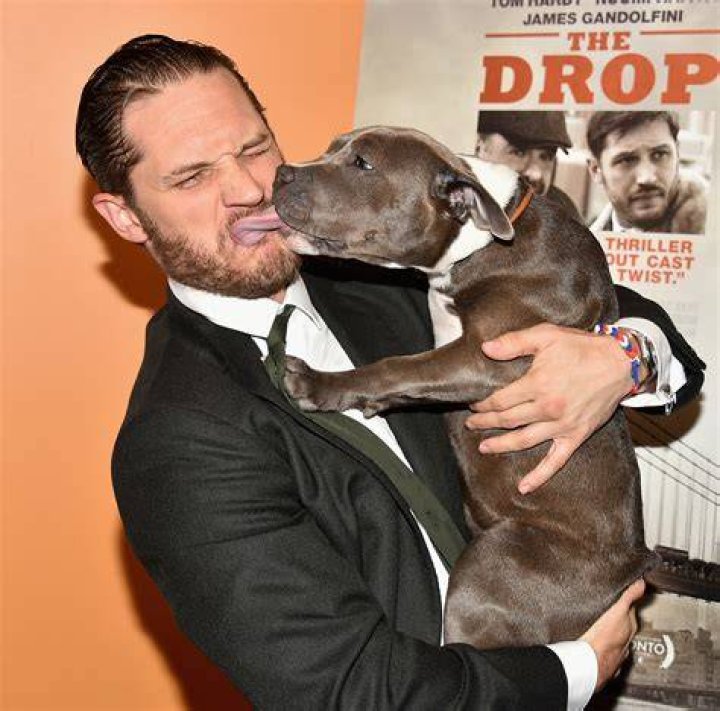 Tom Hardy with dog Max