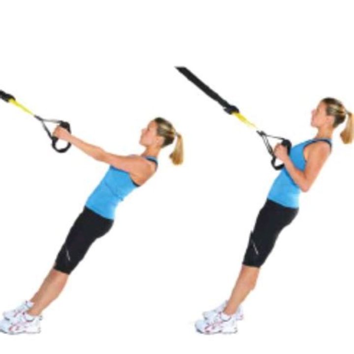 TRX Row Exercise