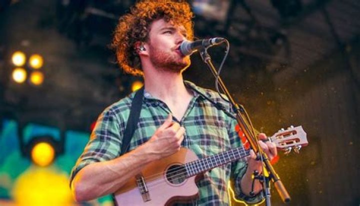 Vance Joy&rsquo;s stage performance on the ukulele in 2015
