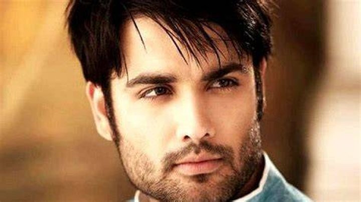 Vivian Dsena in a May 2016 selfie