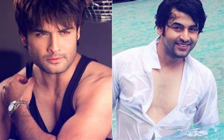 Vivian Dsena with Shashank Vyas in a selfie