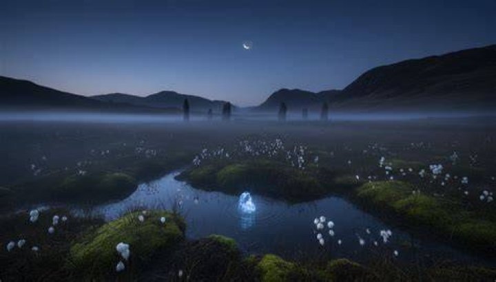 Wisp as seen in a picture that was taken in August 2021