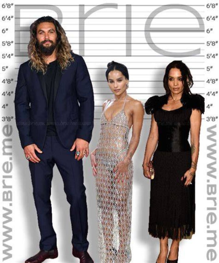 Zoe Kravitz Height is 5 ft 2 inch.